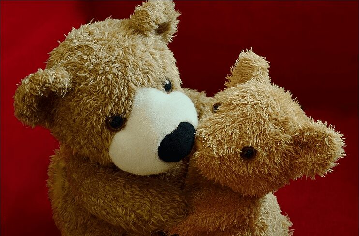 Closeup view of two brown teddy bears facing one another