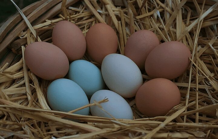 Ten colored eggs put together in a basket