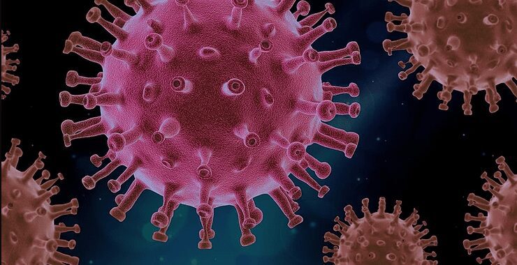 A microscopic shot of the Pink colored coronavirus